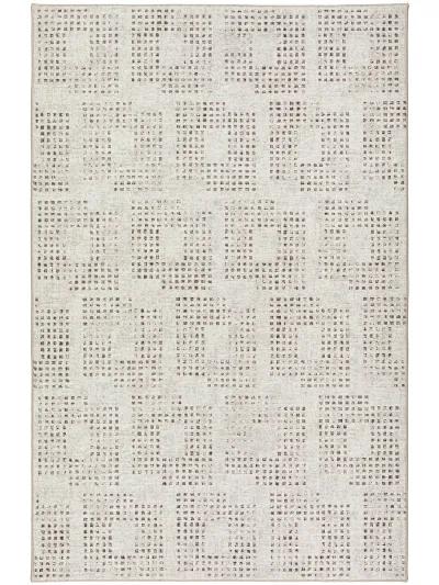 Delano DA1 Ivory 3' x 5' Rug