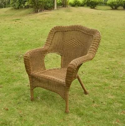 Camelback Resin Wicker Patio Chairs (Set of 2)