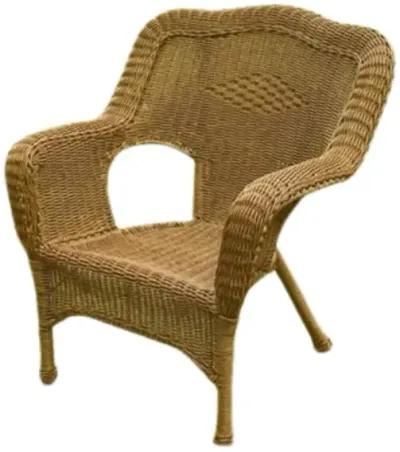 Camelback Resin Wicker Patio Chairs (Set of 2)