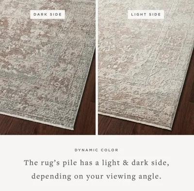 Sonnet Silver/Natural 11'6" x 15' Rug