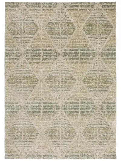 Carmona CO8 Mist 3'1" x 5' Rug