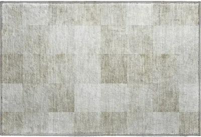 Pacifica PA10 Beige 20" x 30" Rug