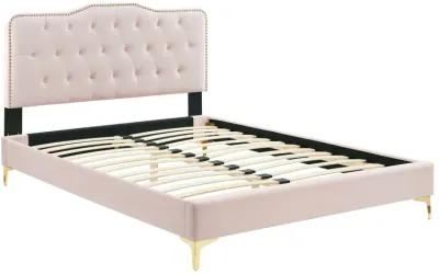 Modway - Amber Performance Velvet Queen Platform Bed