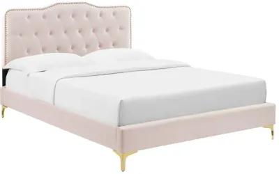 Modway - Amber Performance Velvet Queen Platform Bed