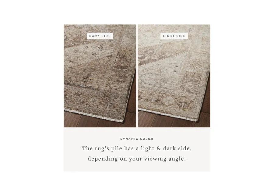 Lyra LYR07 Natural/Mocha 11'6" x 15'7" Rug