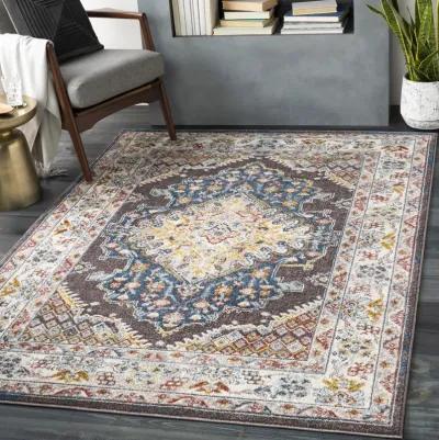 Ankara AKR-2300 6'7' x 9' Brown Rug