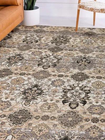 Odessa OD7 Pewter 7'10" x 10' Rug