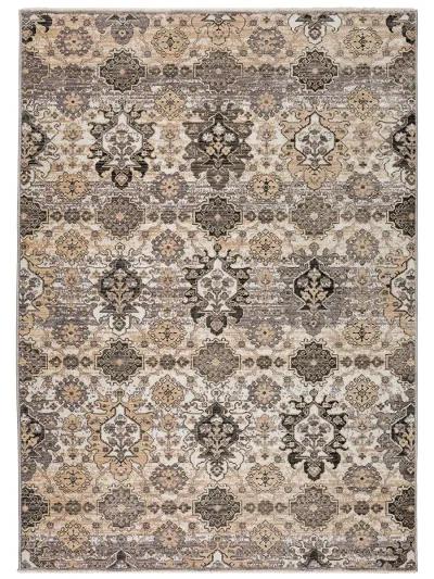 Odessa OD7 Pewter 7'10" x 10' Rug