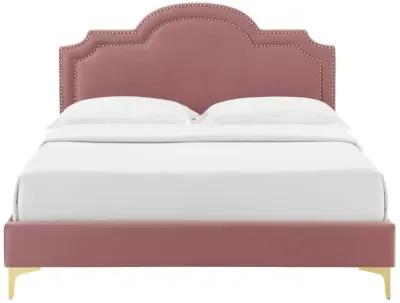 Modway - Aviana Performance Velvet Twin Bed