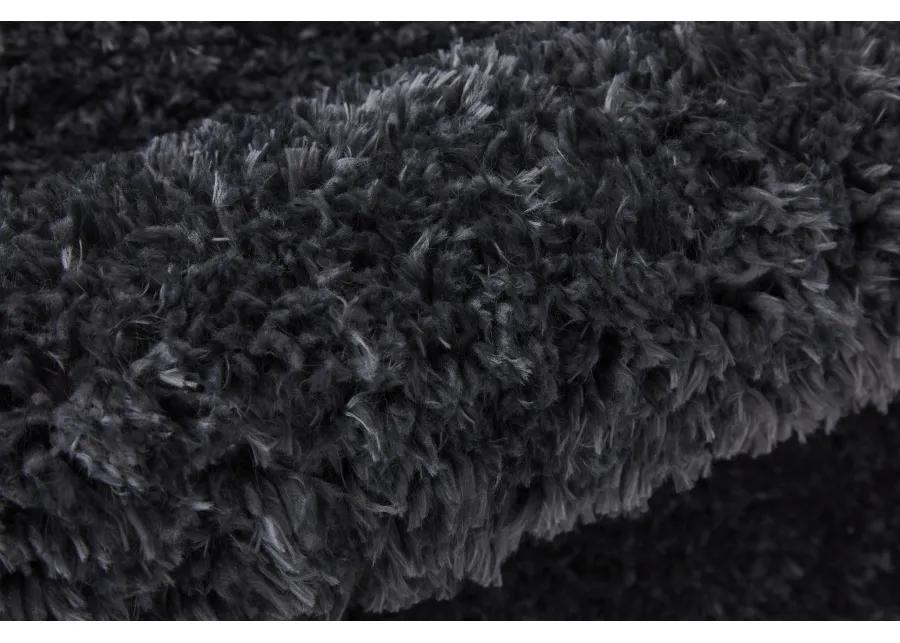 Darian 39K0F Black 2' x 3' Rug