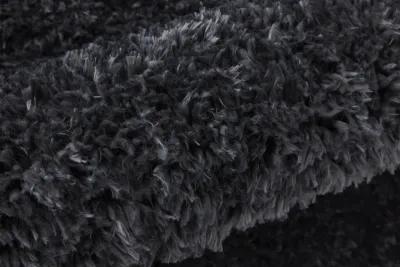 Darian 39K0F Black 2' x 3' Rug