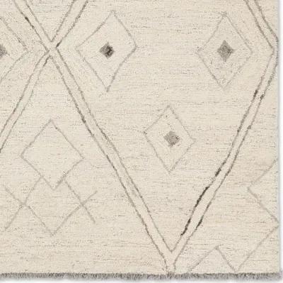 Hadi Ismael White 10' x 14' Rug