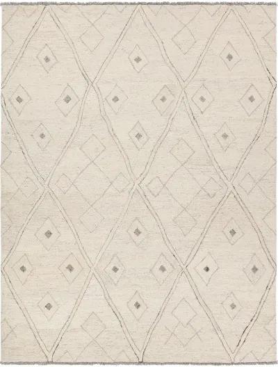 Hadi Ismael White 10' x 14' Rug