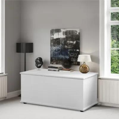 Multi Purpose White Wooden Storage Box, Organizer and Bench Perfect Furniture to Add Accent in Entryway and keep Shoes, Bedroom Bench, Playroom Storage or Window Table in your Living Room