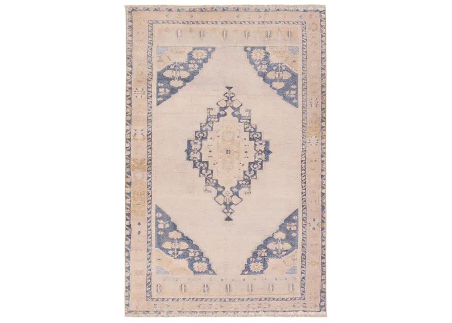 Lumal Debolo Tan/Taupe 8'6" x 11'9" Rug