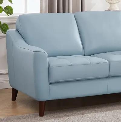 Ersa Top Grain Leather Loveseat