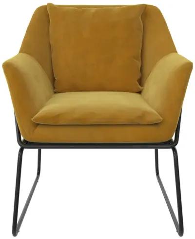 Cassie Accent Chair, Mustard Yellow Velvet