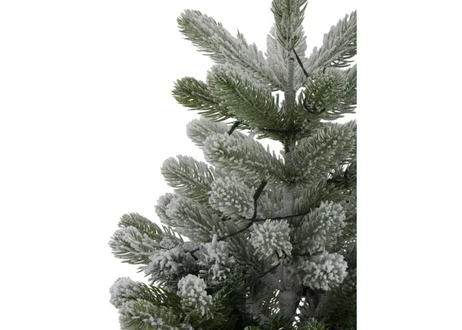 2' B/O Potted Frosted Pine Medium Artificial Christmas Tree in a Burlap Pot- Warm White Lights