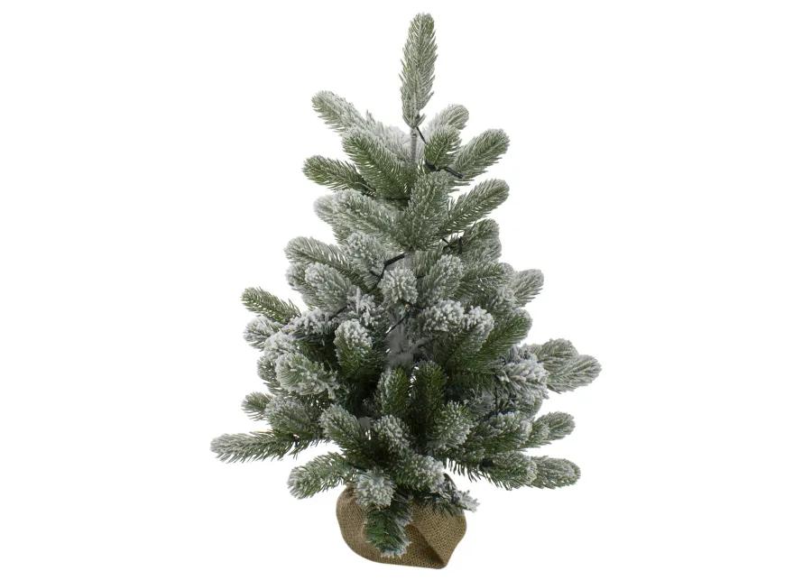 2' B/O Potted Frosted Pine Medium Artificial Christmas Tree in a Burlap Pot- Warm White Lights