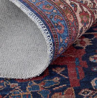 Rawlins 39HGF Red/Blue/Tan 2'7" x 8' Rug