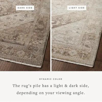 Lyra LYR07 2'3" x 3'10" Rug