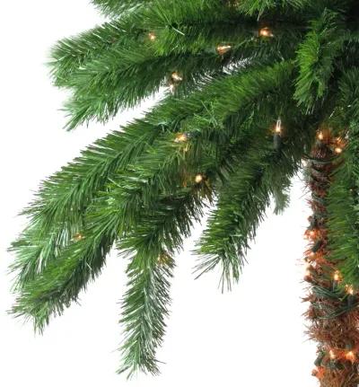 6' Pre-Lit Tropical Palm Tree Artificial Christmas Tree - Clear Lights