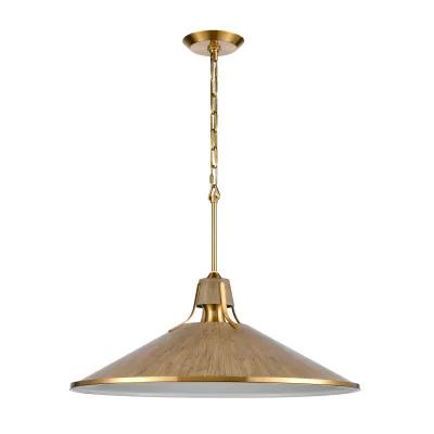 Danique 24'' Wide 1-Light Brass Pendant