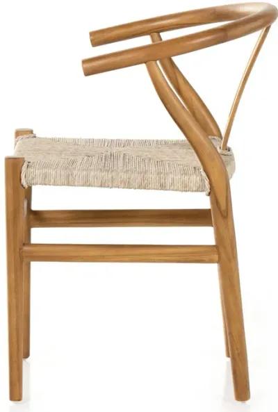 Muestra Dining Chair