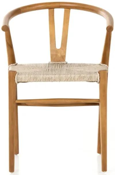 Muestra Dining Chair