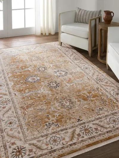 Zefira Romano Tan/Taupe 10' x 14' Rug