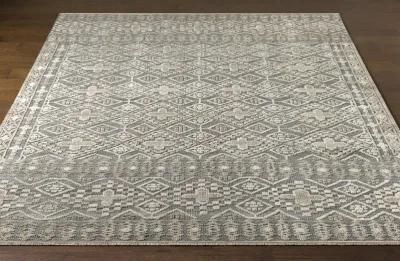 Nobility NBI-2304 2' x 3' Beige Rug