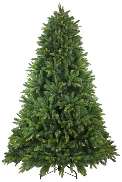 7.5' Pre-Lit Full Gunnison Pine Artificial Christmas Tree - Warm White LED Lights