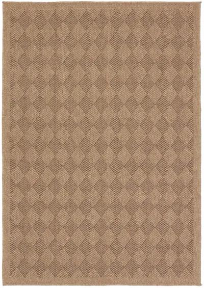 Nambe Amanar Natural 4' x 6' Rug