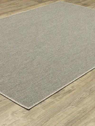 Caicos 3'3" x 5' Grey Rug