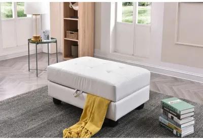 Revere Faux Leather Upholstered Storage Ottoman