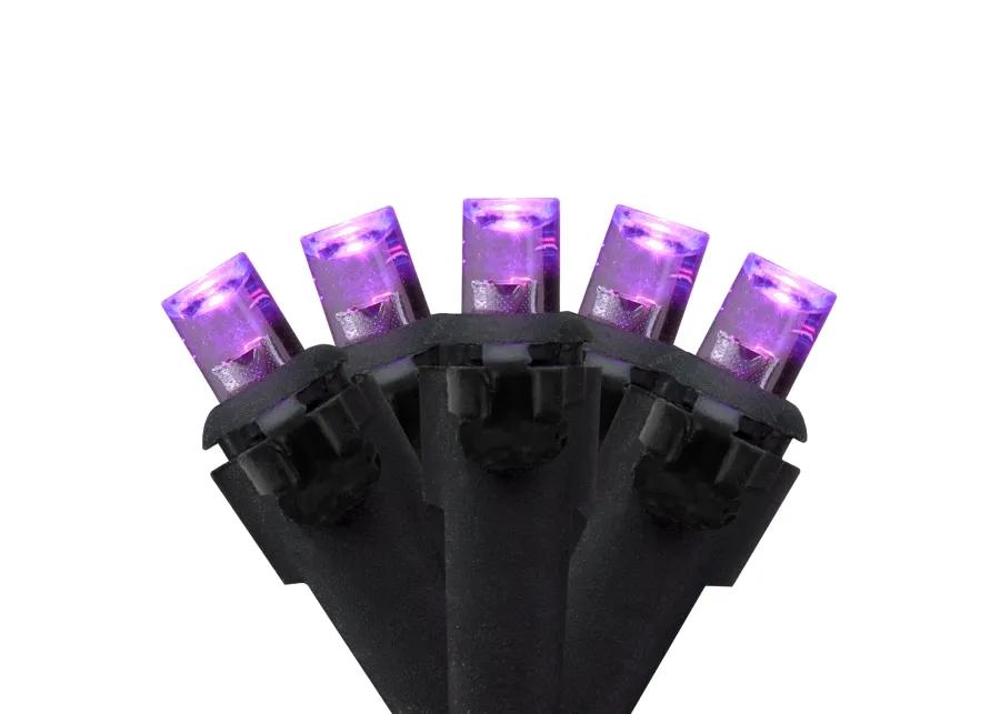 50 Count Wide Angle Purple LED Christmas Lights  16 ft Black Wire