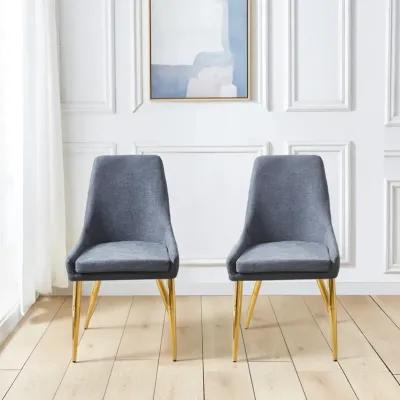 Upholstered Dining Chairs Set of 2 with Stainless Steel Legs