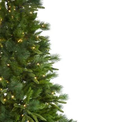 9' Pre-Lit Full Mixed Rosemary Emerald Angel Pine Artificial Christmas Tree - Clear LED Lights