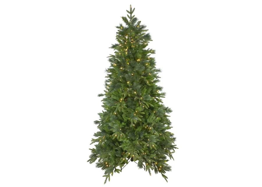 9' Pre-Lit Full Mixed Rosemary Emerald Angel Pine Artificial Christmas Tree - Clear LED Lights