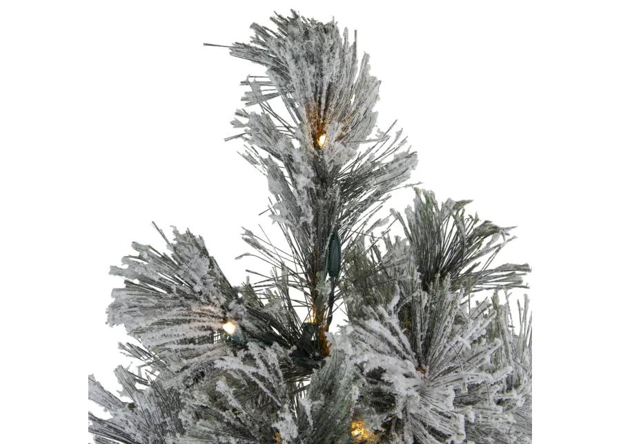 4.5' Pre-Lit LED Black Spruce Artificial Christmas Tree - Clear Lights