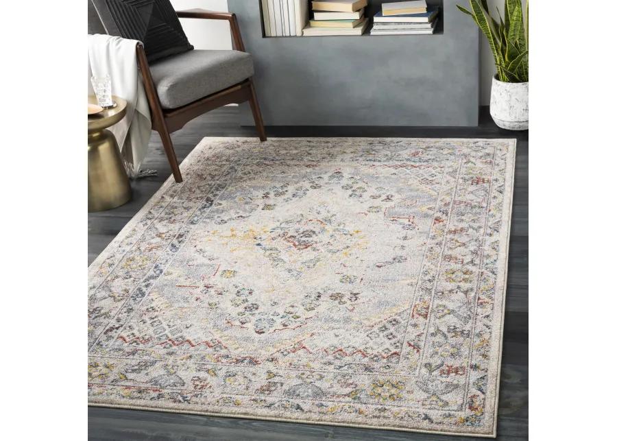 Ankara AKR-2300 5'2' x 7' Beige Rug