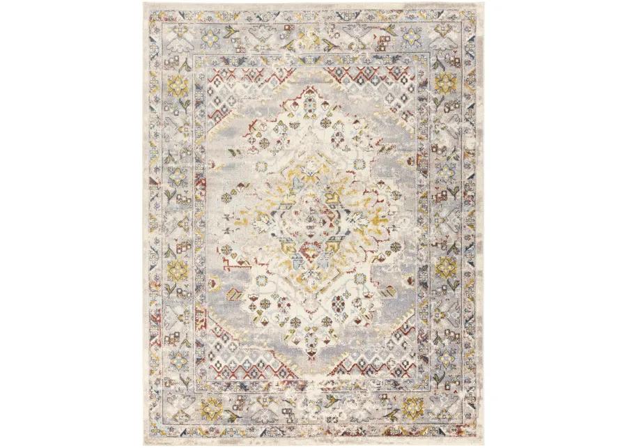 Ankara AKR-2300 5'2' x 7' Beige Rug