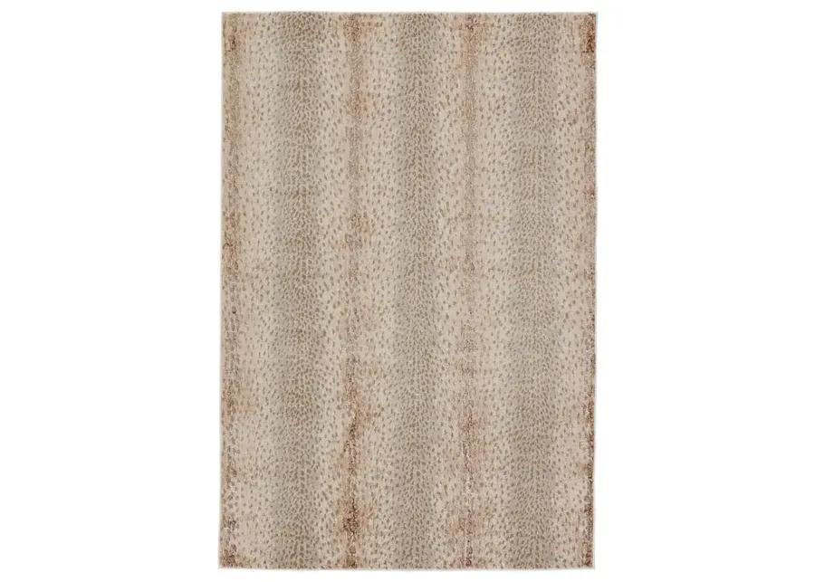 Catalyst A x is Tan/Taupe 11'8" x 18' Rug