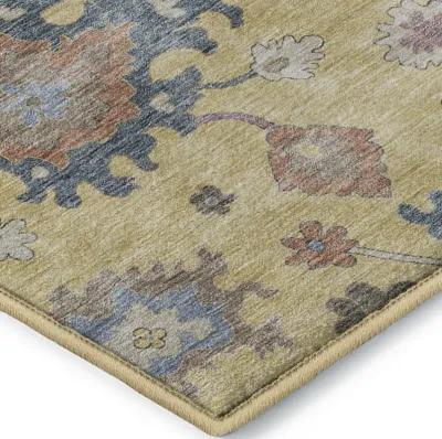 Hatay HY4 Gold 30" x 46" Rug