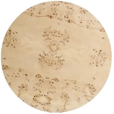 Cosmos 35" Round Burl Wood Coffee Table