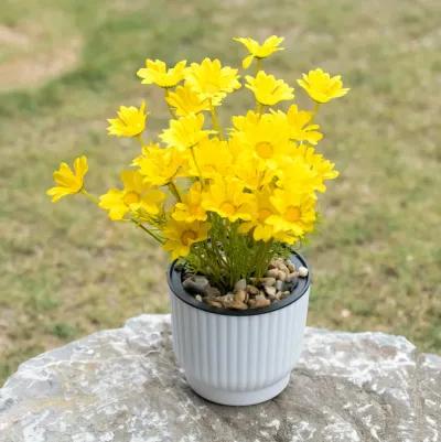 White Flower Pot Self Watering Planter, 6 Pack