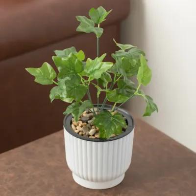 White Flower Pot Self Watering Planter, 6 Pack