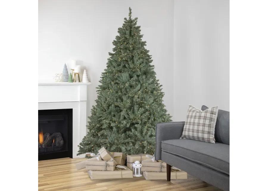 7.5' Pre-Lit Full Newport Spruce Artificial Christmas Tree  LED Lights