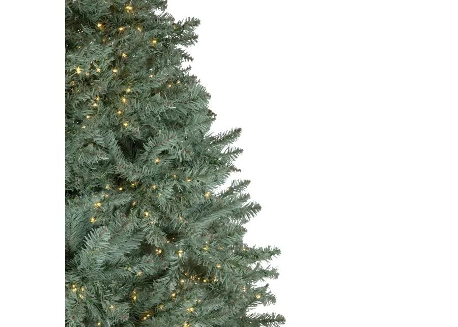 7.5' Pre-Lit Full Newport Spruce Artificial Christmas Tree  LED Lights