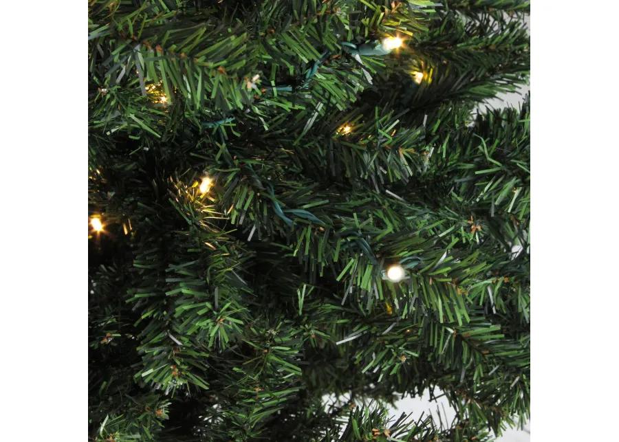 10' Pre-Lit Medium Canadian Pine Candlelight LED Artificial Christmas Tree - Clear Lights